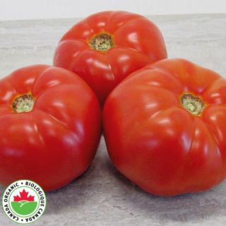 Sunfresh Organic Tomato Thumbnail